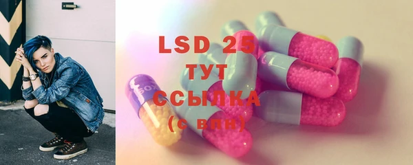 индика Алексеевка
