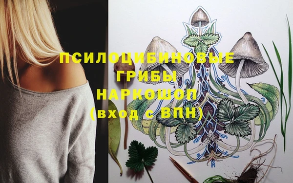 apvp Навашино